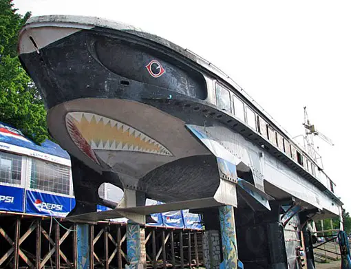 Shark Bar Perm