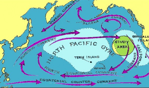 El Gran Parche de Basura del Pacífico