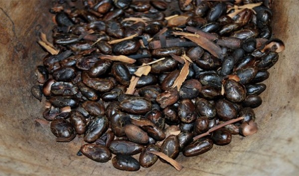 cacao moneda azteca