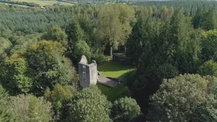 viejo castillo Archdale