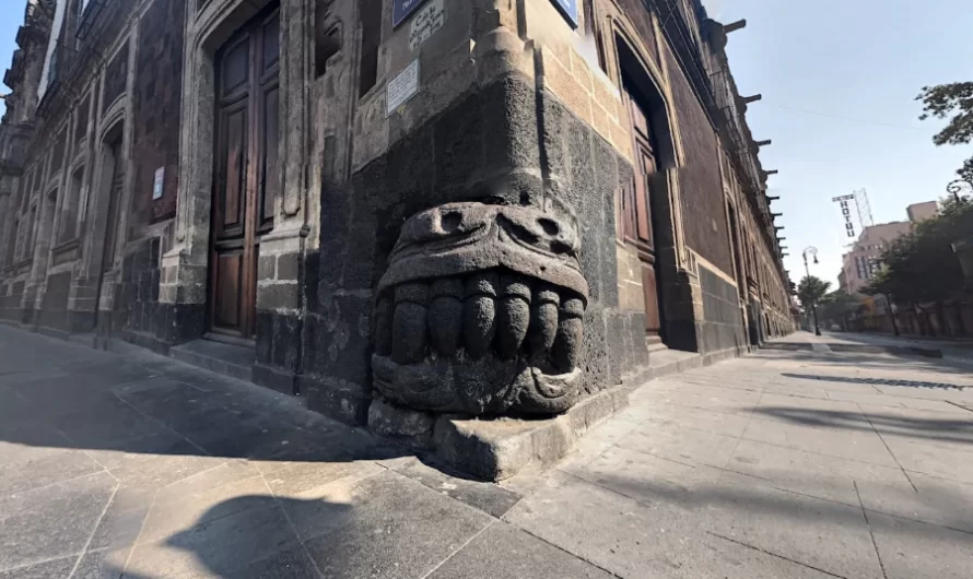 Una cabeza de serpiente mexica oculta observa silenciosa en Ciudad de México