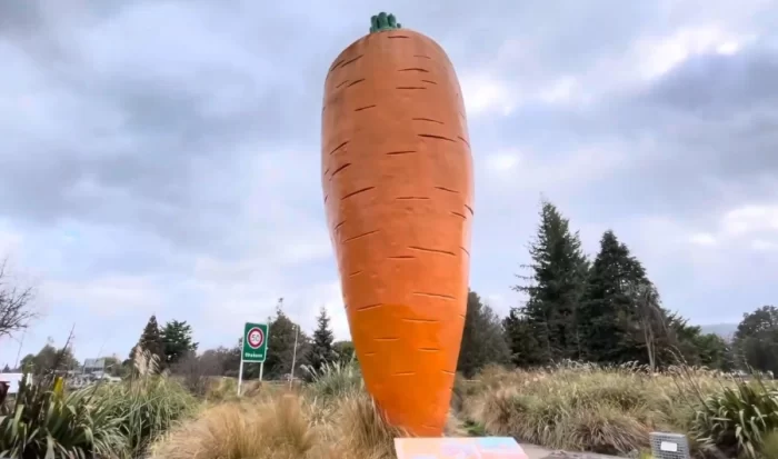 zanahoria gigante